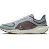 Image de Nike Homme Pegasus 41 Gore-tex Wasserdichter Straßenlaufschuh für Herren Chaussures de Course sur Route, Light Pumice Ashen Slate Burgundy Crush, 39 EU