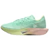 Image de Nike Vaporfly 3 Chaussures de course sur route pour femme (HQ3505-379, montré: mousse menthe/teinte coucher de soleil/Barely Volt/Sail), Montré : mousse menthe/teinte coucher de soleil/à peine