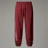 Image de THE NORTH FACE NF0A8BT2WUO M STOLEMBERG Convertible Slim Tapered PA Pants Homme Anthracite Grey/TNF Bla Taille 34