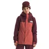 Image de The North Face Freedom Insulated Veste pour femme Sumac/Mars Dust M
