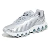 Image de NIKE HF5509-001 W AIR Max DN8 Femme Wolf Grey/Metallic Silver-Off White EU 41