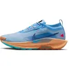 Image de Nike Homme Pegasus Trail 5 Gore-tex Wasserdichter Traillaufschuh für Herren Chaussures imperméables, Blue Beyond Blue Void Copper Moon, 40.5 EU