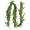 Image de VEVOR Guirlande de Noël, 2,7 m, Guirlande de Pin Norfolk Artificiel, Décoration de Noël Verte, pour Intérieur, Extérieur, sur Table, Manteau de Cheminées, Cheminées, à Suspendre, à Poser, Couronnes