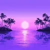 Image de Paradise Vinyle Violet en occasion ou reconditionné
