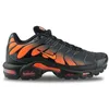 Image de Nike Air Max Plus Noir Dm0032-025