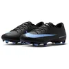 Image de NIKE ZM Vapor 16 Academy FG/MG Soccer Shoes