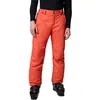 Image de Columbia Bugaboo 5 Pantalon de Ski pour Homme, Zing, L/R
