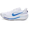 Image de Nike Winflo 12 HV9272 Chaussures de course sur route pour homme, Blanc Bleu Cristal Blanc cassé Lapis, 42 EU