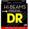 Image de 45-105 SMR-45 Short Scale HI-beam