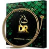 Image de DR DAP-10 - Cordes de guitare acoustique en bronze phosphoreux avec revêtement DRAGON SKIN+ , son supérieur avec sensation confortable et longue durée de vie, extra léger 10-48