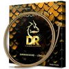 Image de DRAGON SKIN+   Cordes pour guitare acoustique en bronze phosphoreux   DAP-12/56   Son supérieur avec sensation confortable et longue durée de vie : Bluegrass 12-56