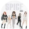 Image de Spiceworld 25 Édition Limitée Picture Disc en occasion ou reconditionné
