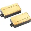 Image de FLUENCE HUMBUCKER CLASSIC SET MICROS FINITION DORE