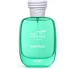 Image de Rasasi Hawas Tropical Fruity, Aromatic, Woody, Fresh Eau de Parfum pour Homme 100 ml