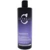 Image de Violet PASSERELLE FASHIONISTA conditionneur 750 ml