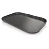 Image de NINJA Plancha pour Barbecue électrique Ninja Woodfire XL XSKOGXLFPLTEU