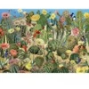 Image de Cobble Hill Cactus Garden