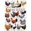 Image de Cobble Hill Chicken Quotes