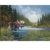 Image de Cobble Hill Moose Lake