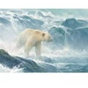 Image de Cobble Hill Pièces XXL - Salmon Watch - Spirit Bear