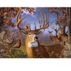 Image de Cobble Hill Pièces XXL - Deer and Pheasant