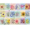Image de Cobble Hill Sachets de Graines