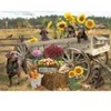 Image de Cobble Hill Wagon de Choc