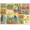 Image de Cobble Hill Oiseaux de Jardin en Automne
