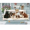 Image de Cobble Hill Pièces XXL - Family - Porch Pals
