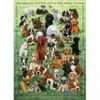 Image de Cobble Hill Family - Chiots