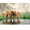 Image de Cobble Hill Pièces XXL - Horse Family