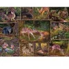 Image de Cobble Hill Dans les bois - Family Pieces