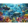 Image de Cobble Hill Coral Sea