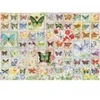 Image de Cobble Hill Papillons et Fleurs