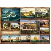 Image de Cobble Hill Puzzle de 1000 pièces   Thomas Chambers   Échantillon Poster Inclus
