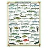 Image de Eurographics Poissons d'eau douce