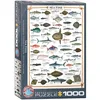 Image de EuroGraphics Sea Fish 1000 Piece Puzzle