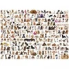 Image de Eurographics Un Monde de Chien