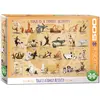 Image de Eurographics 6500-5354 Puzzle Multicolore