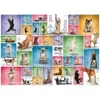 Image de Eurographics Yoga Dogs