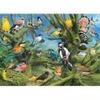 Image de Eurographics Joahn Francis - Garden Birds