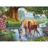 Image de Eurographics Steve Crisp - The Fell Ponies