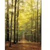 Image de Eurographics Sous-Bois