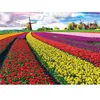 Image de Puzzle 1000 pièces : Champ de tulipes Eurographics en occasion ou reconditionné
