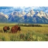 Image de Eurographics Parc National Grand Teton
