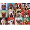 Image de Eurographics Funny Dogs