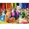 Image de Eurographics Chatons