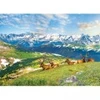Image de Eurographics Les Élans à la Montagne