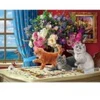 Image de Eurographics Chats Curieux