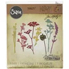 Image de Sizzix 661190 Thinlits Die Set Matrice Fleur Sauvage par Tim Holtz Acier Carbone Multicolore 19 x 14,5 x 0,5 cm 7 Pièces